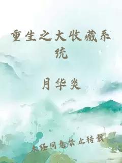 重生之大收藏系統(tǒng)