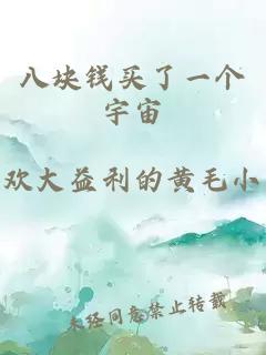 八塊錢買了一個宇宙