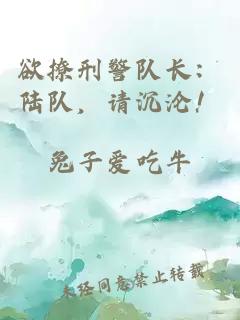 欲撩刑警隊長：陸隊，請沉淪！