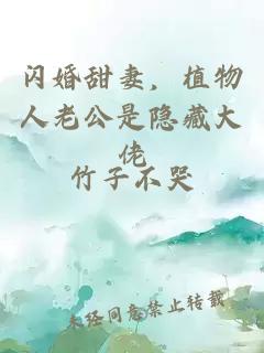 閃婚甜妻，植物人老公是隱藏大佬