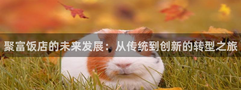 超凡国际fnc5top最新版更新内容介绍：聚富饭店的未来发展：从传统到创新的转型之旅