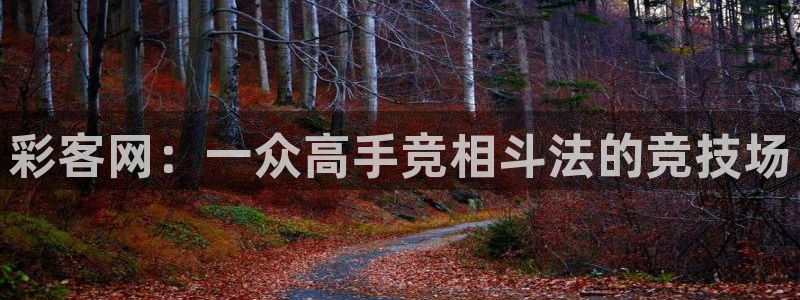 超凡国际官网注册：彩客网：一众高手竞相斗法的竞技场