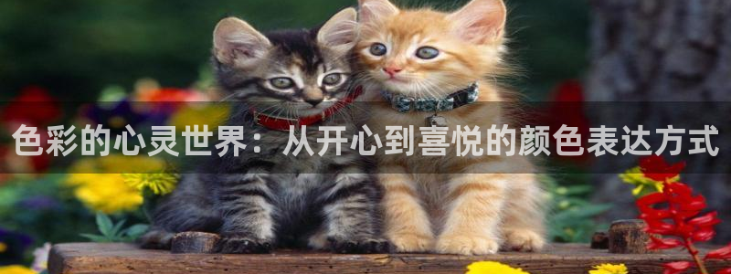 超凡国际免费版