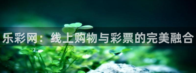 超凡国际fnc5top：乐彩网：线上购物与彩票的完美融合