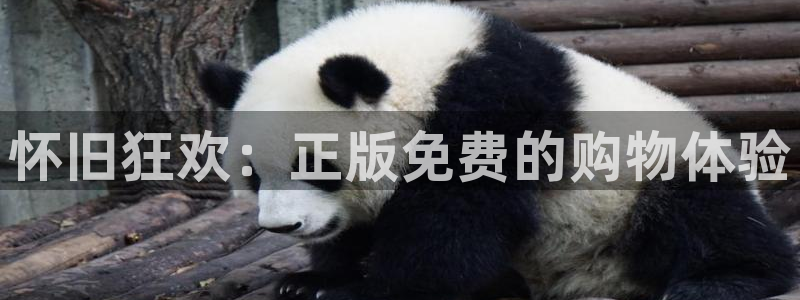 超凡国际pg下载链接：怀旧狂欢：正版免费的购物体验